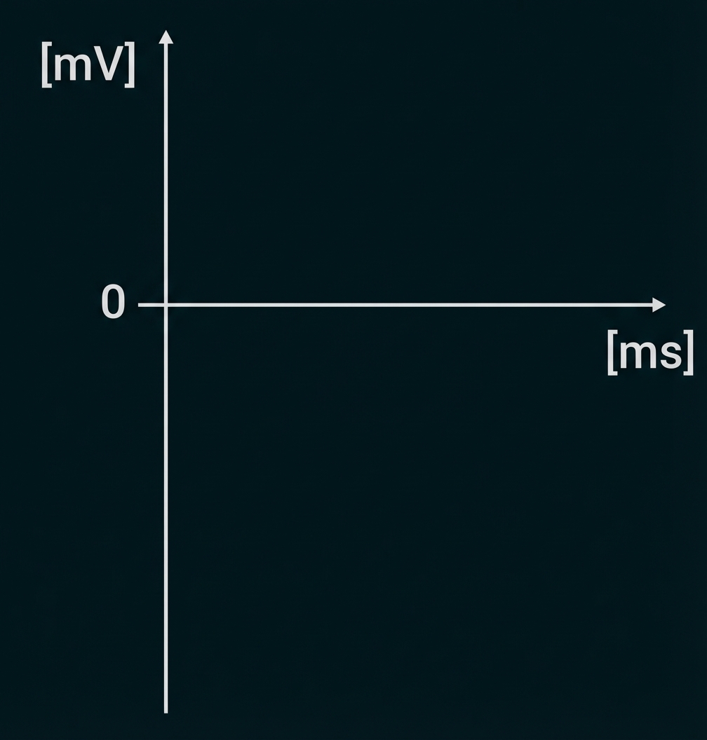 Leeres Diagramm: Zeitachse [ms] horizontal, Spannungsachse [mV] vertikal, Nullpunkt an Achsenkreuz.